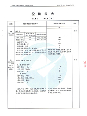 检测报告04