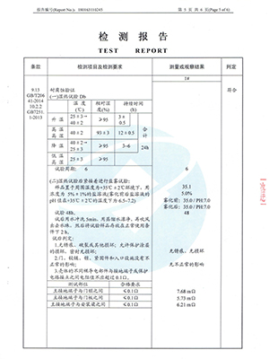检测报告06